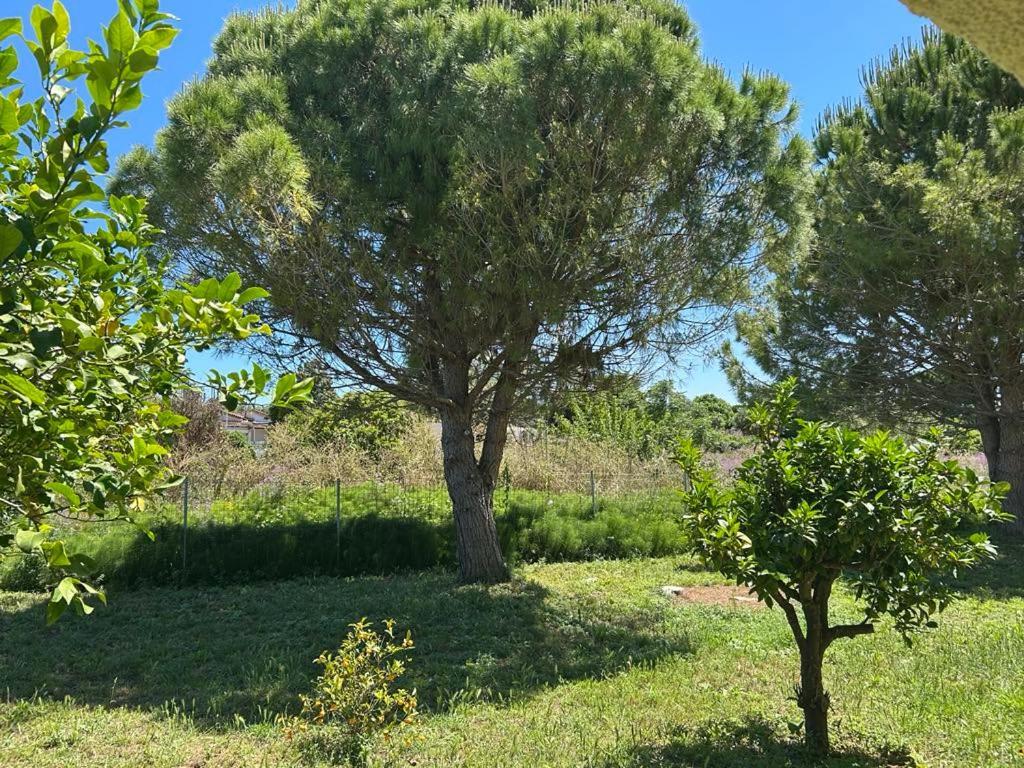 Tiny Comfort House Apartment Kastro-Kyllini