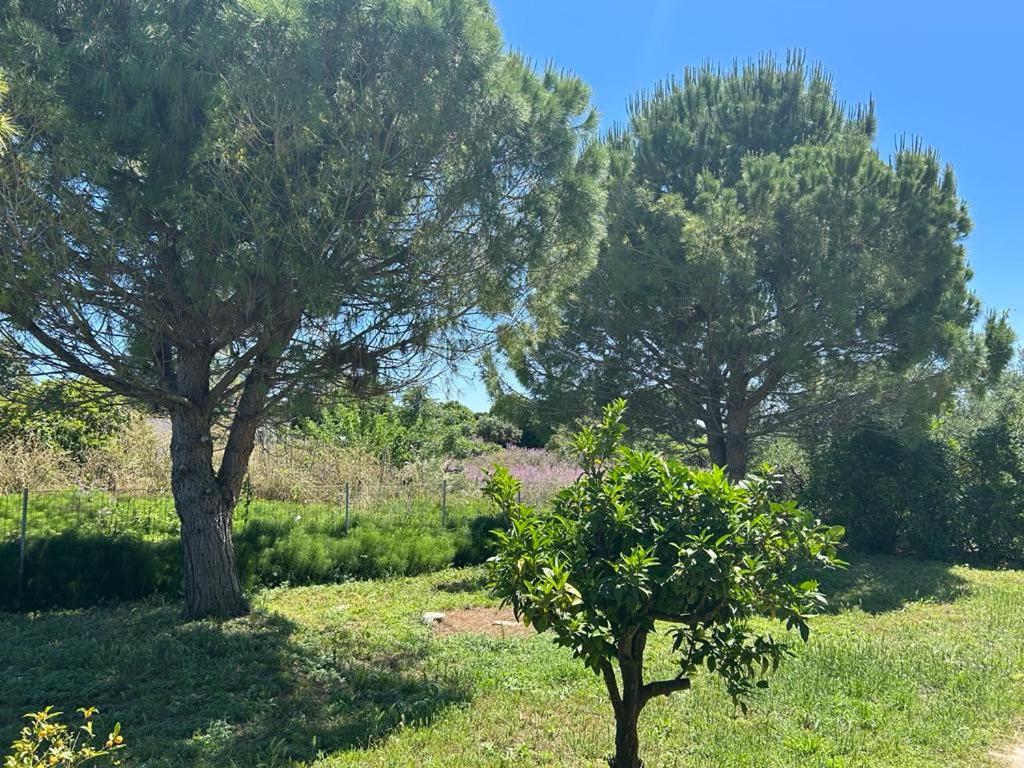 Tiny Comfort House Apartment Kastro-Kyllini